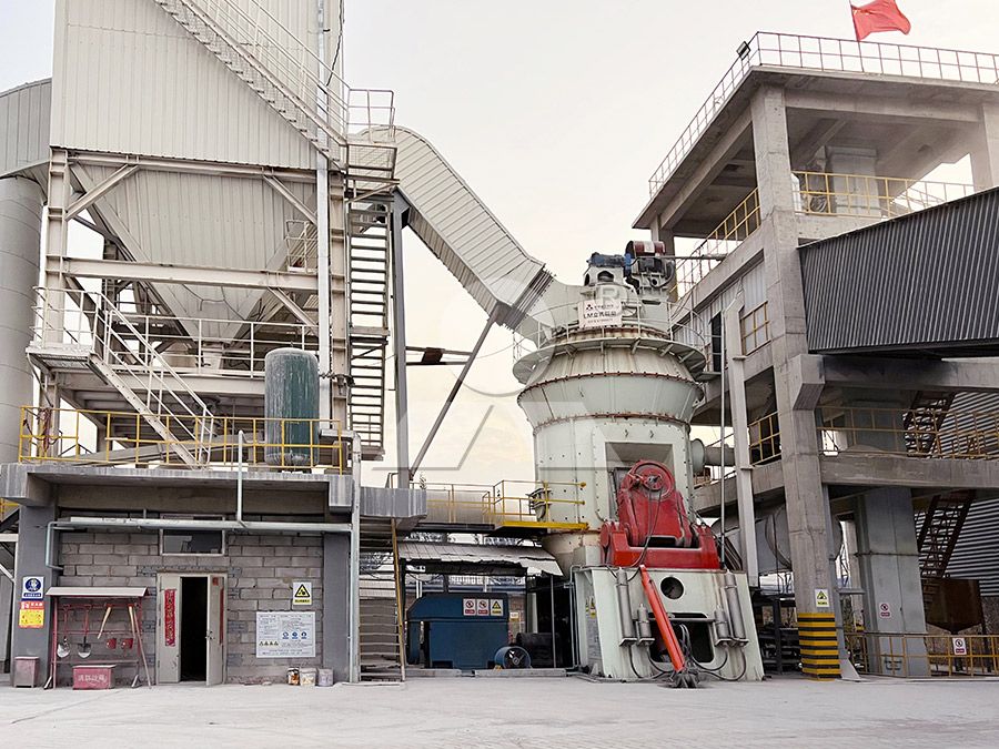 Vertical roller mill in mineral processing