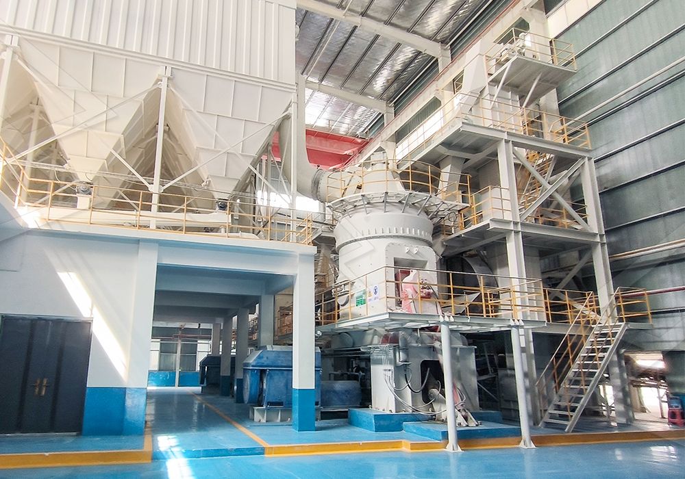 LM Vertical Roller Mill in a mineral processing plant
