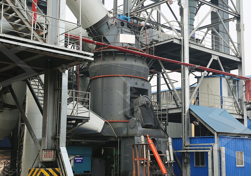 LM mill in mineral processing plant