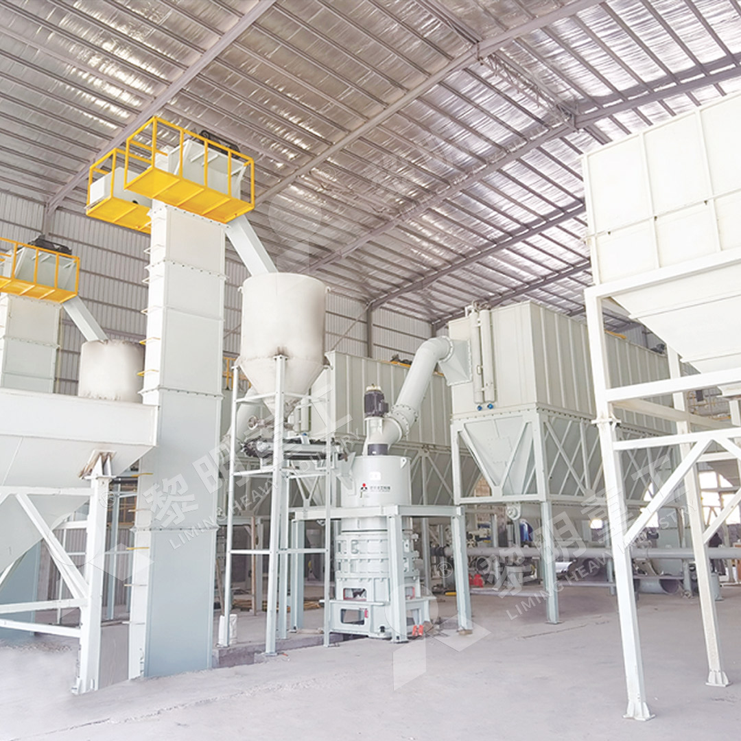 MW ring roller micro powder mill plant overview