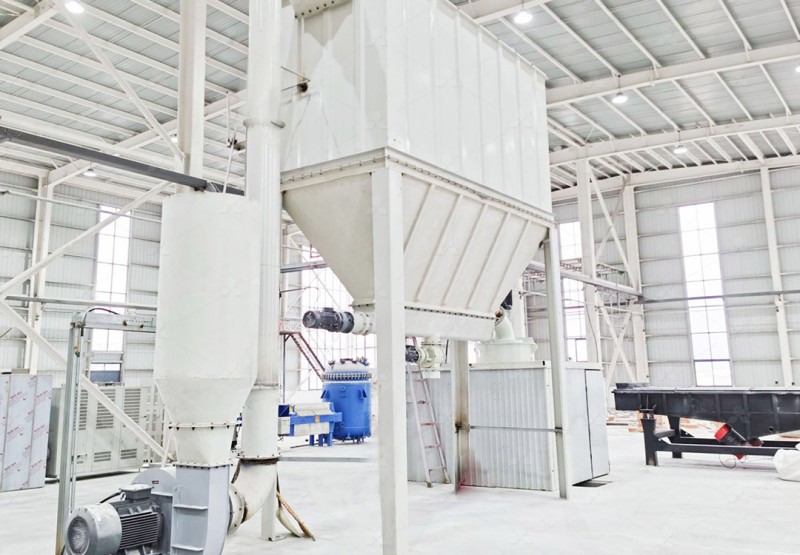 MW ring roller micro powder mill structure