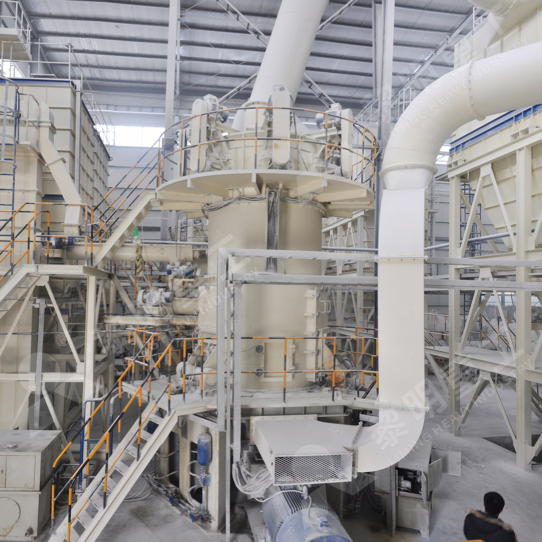 LM vertical roller mill in industrial plant