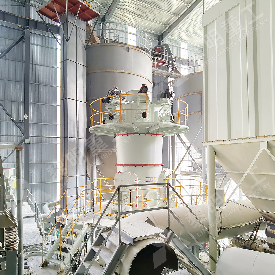 LM vertical roller mill in plant