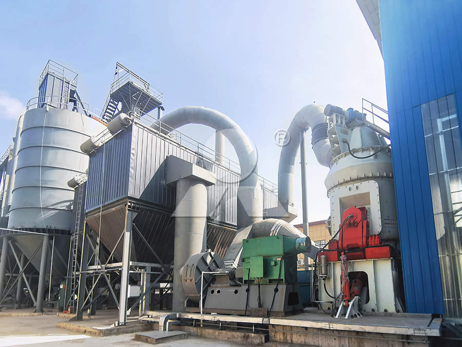 LM Vertical Roller Mill working site