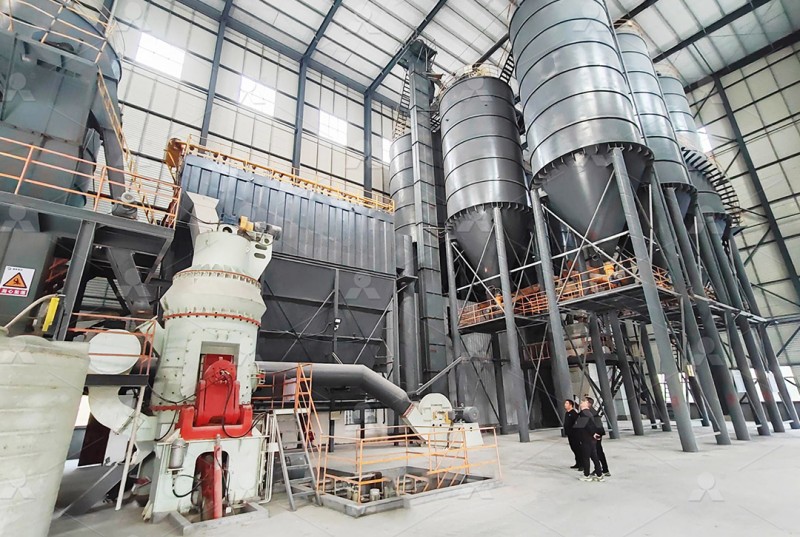 LM vertical roller mill working site for pumice powder