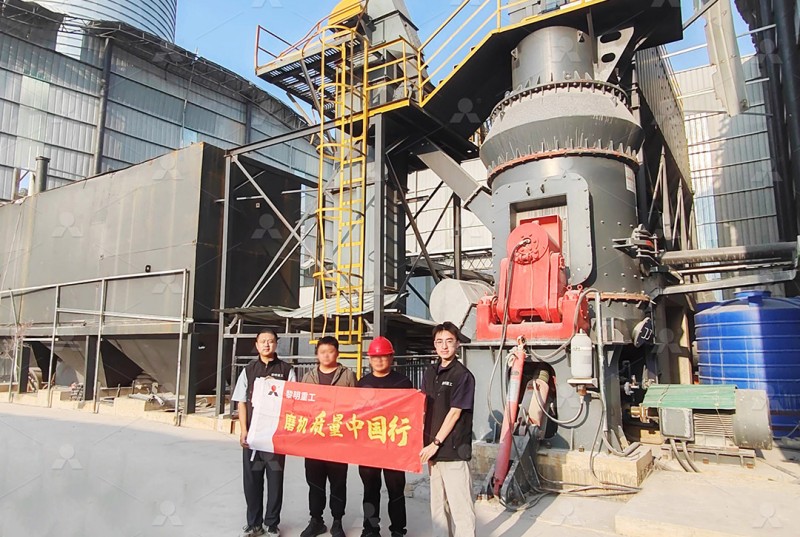 LM vertical roller mill for mineral processing